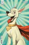 SUMMER OF SUPERMAN SPECIAL #1 (ONE SHOT) CVR E CHRISSIE ZULLO-UMINGA CARD STOCK VAR