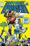 SAVAGE DRAGON #272 CVR A ERIK LARSEN (MR)