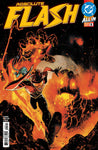 ABSOLUTE FLASH #5 CVR A NICK ROBLES