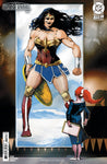 WONDER WOMAN #14 CVR F INC 1:25 STEVAN SUBIC CARD STOCK VAR