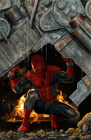 AMAZING SPIDER-MAN #14 LEE BERMEJO AMAZING VISIONS VIRGIN VARIANT 1:100