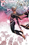 STORM #2 STEPHANIE HANS VARIANT 1:25