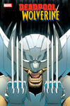 DEADPOOL/WOLVERINE #8 DECLAN SHALVEY VARIANT 1:25