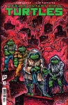 Teenage Mutant Ninja Turtles #10 B (Eastman)