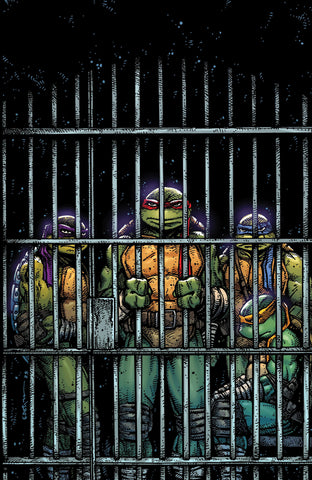 Teenage Mutant Ninja Turtles #11 F (Eastman Full Art) 1:10
