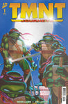 Teenage Mutant Ninja Turtles: Journeys #1 C Incentive Foil (Laird & Dooney) 1:10