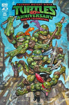 TMNT 40TH ANNIVERSARY CELEBRATION #1 CVR B BISLEY