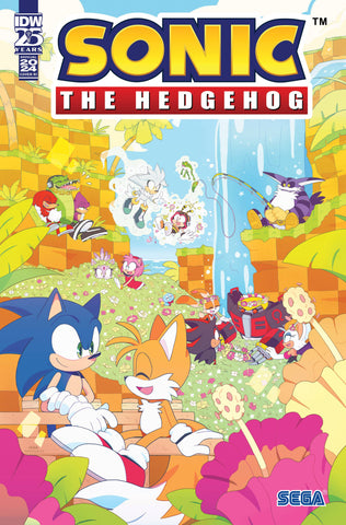 SONIC THE HEDGEHOG ANNUAL 2024 ONESHOT CVR C 10 COPY INCV