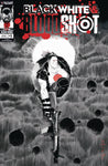 BLACK WHITE & BLOODSHOT #1 (OF 4) CVR B BERGARA (MR)