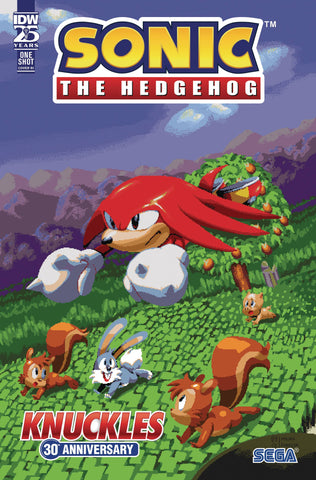 SONIC THE HEDGEHOG KNUCKLES 30TH ANN SPECIAL #1 CVR C 10 COPY INCV