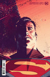 SUPERMAN LOST #1 (OF 10) CVR C LEE WEEKS CARD STOCK VAR