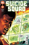 SUICIDE SQUAD #12 CVR A EDUARDO PANSICA JULIO FERREIRA & MARCELO MAIOLO