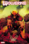 WOLVERINE 20 COCCOLO VARIANT