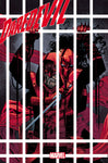 DAREDEVIL 5