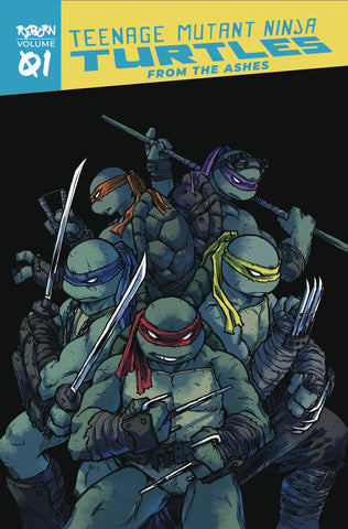 TMNT REBORN TP VOL 01 FROM THE ASHES (C: 0-1-2)