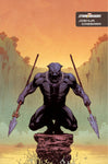 AVENGERS #40 CASSARA STORMBREAKERS VAR (1 PER STORE)