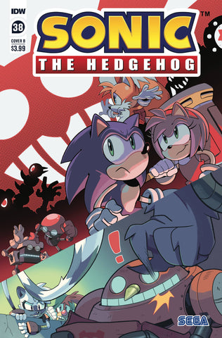 SONIC THE HEDGEHOG #38 CVR B ROTHLISBERGER
