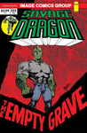 SAVAGE DRAGON #255 CVR B RETRO 70S TRADE DRESS