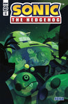 SONIC THE HEDGEHOG #49 CVR C 10 COPY FOURDRAINE