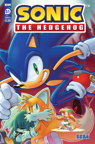 SONIC THE HEDGEHOG #51 CVR A HAMMERSTROM (C: 1-0-0)