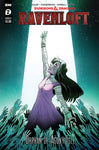 D & D RAVENLOFT ORPHAN OF AGONY ISLE #2 CVR B HOWELL (C: 1-0