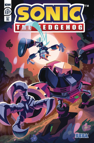 SONIC THE HEDGEHOG ANNUAL 2022 CVR C 10 COPY INCV