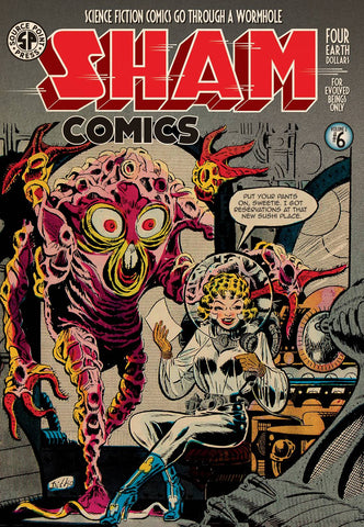 SHAM COMICS VOL 2 #6 (OF 6)