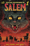CHILLING ADV OF SALEM ONE SHOT CVR A SCHOENING