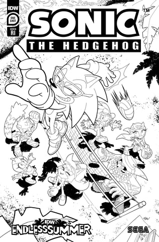 IDW ENDLESS SUMMER SONIC THE HEDGEHOG CVR C 1:10 COLORING BOOK