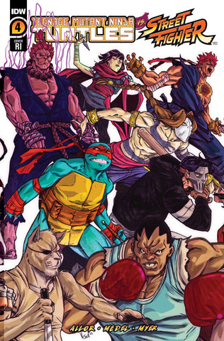 TMNT VS. STREET FIGHTER #4 (OF 5) CVR D 25 FEDERICI