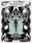 FRANKENSTEIN BY GEORGES BESS HC (C: 0-1-2)