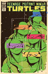 TMNT ONGOING #144 CVR C 10 COPY INCV QUINONES