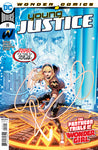YOUNG JUSTICE #19 CVR A JOHN TIMMS